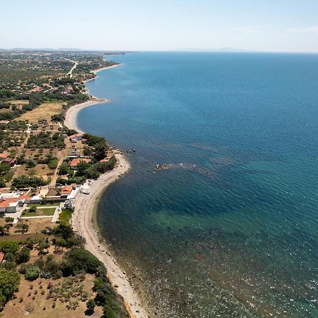 Papi'S Free Parking Villa Dedeağaç Dış mekan fotoğraf