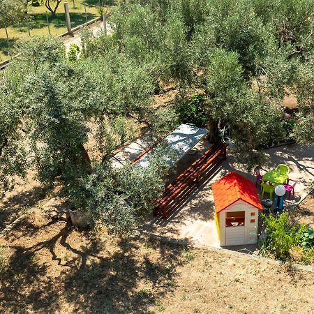 Papi'S Free Parking Villa Dedeağaç Dış mekan fotoğraf